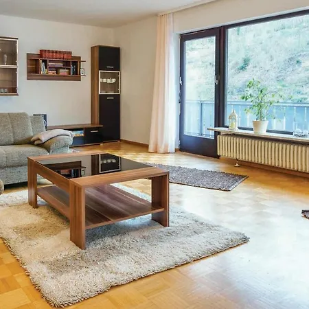 Apartamento In With Wifi Hornberg